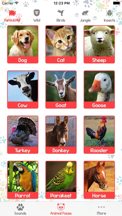 Animal Sounds and Pictures for Baby screenshot-4