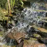 Flowing Water Sounds for Sleep App Support