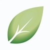 Shiny Leaf icon