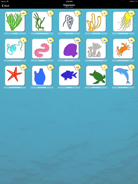 Pinneggiando iPad screenshot