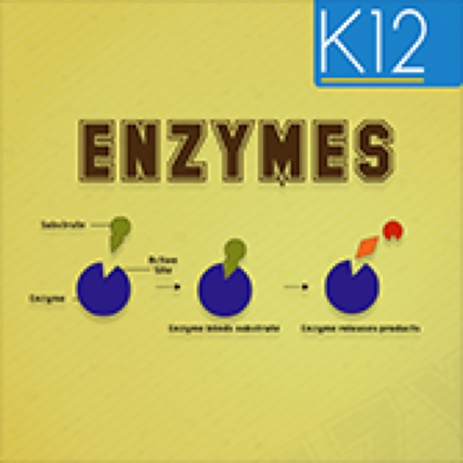 Enzymes and its Properties icon