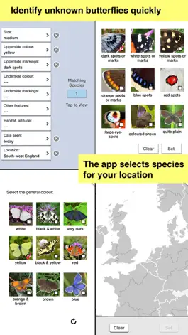 Game screenshot Butterfly Guide - Europe hack