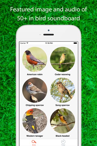 Bird Calls - SoundBoards of Chatter and Callerのおすすめ画像1