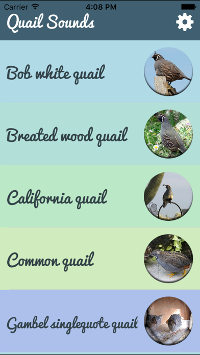 Screenshot #2 pour Quail Sound – California, Jungle Bush, Bob White
