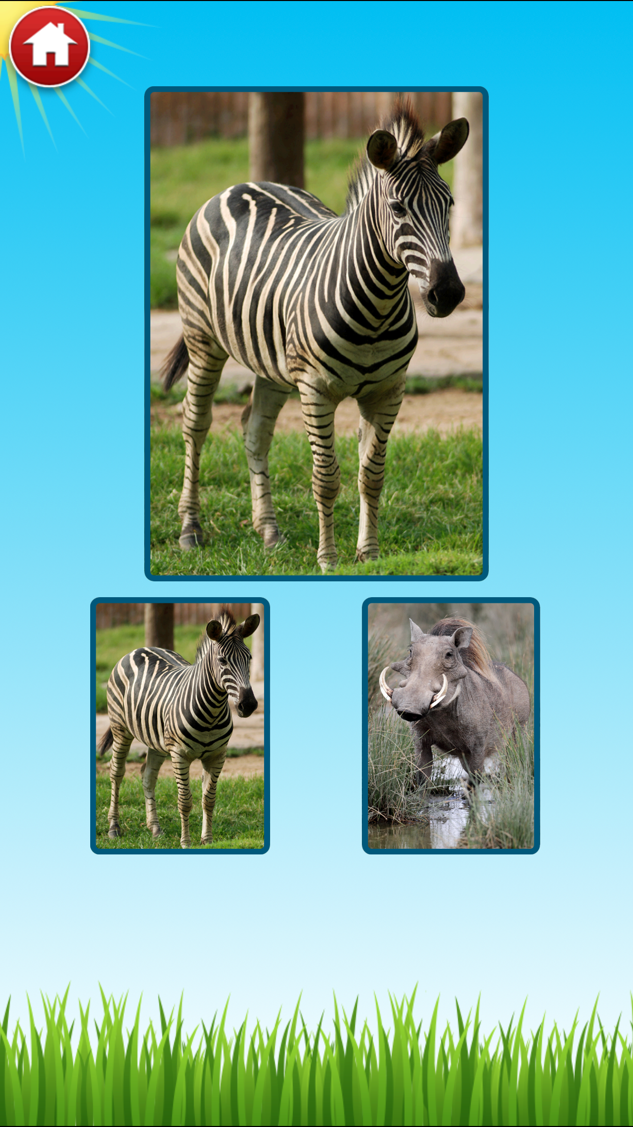Zoo Sounds - Fun Educational Games for Kids screenshot 3