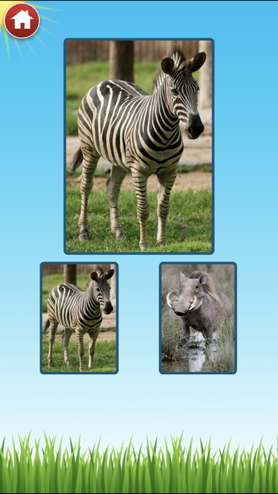 Zoo Sounds - Fun Educational Games for Kids Screenshot