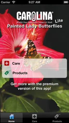 Game screenshot Painted Lady Butterflies Lite mod apk