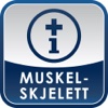 Muskel-Skjelett (IM-App)