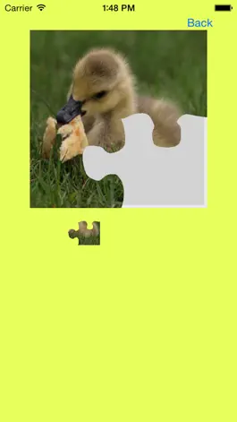 Game screenshot Ducklings, Goslings Jigsaw Puzzles apk