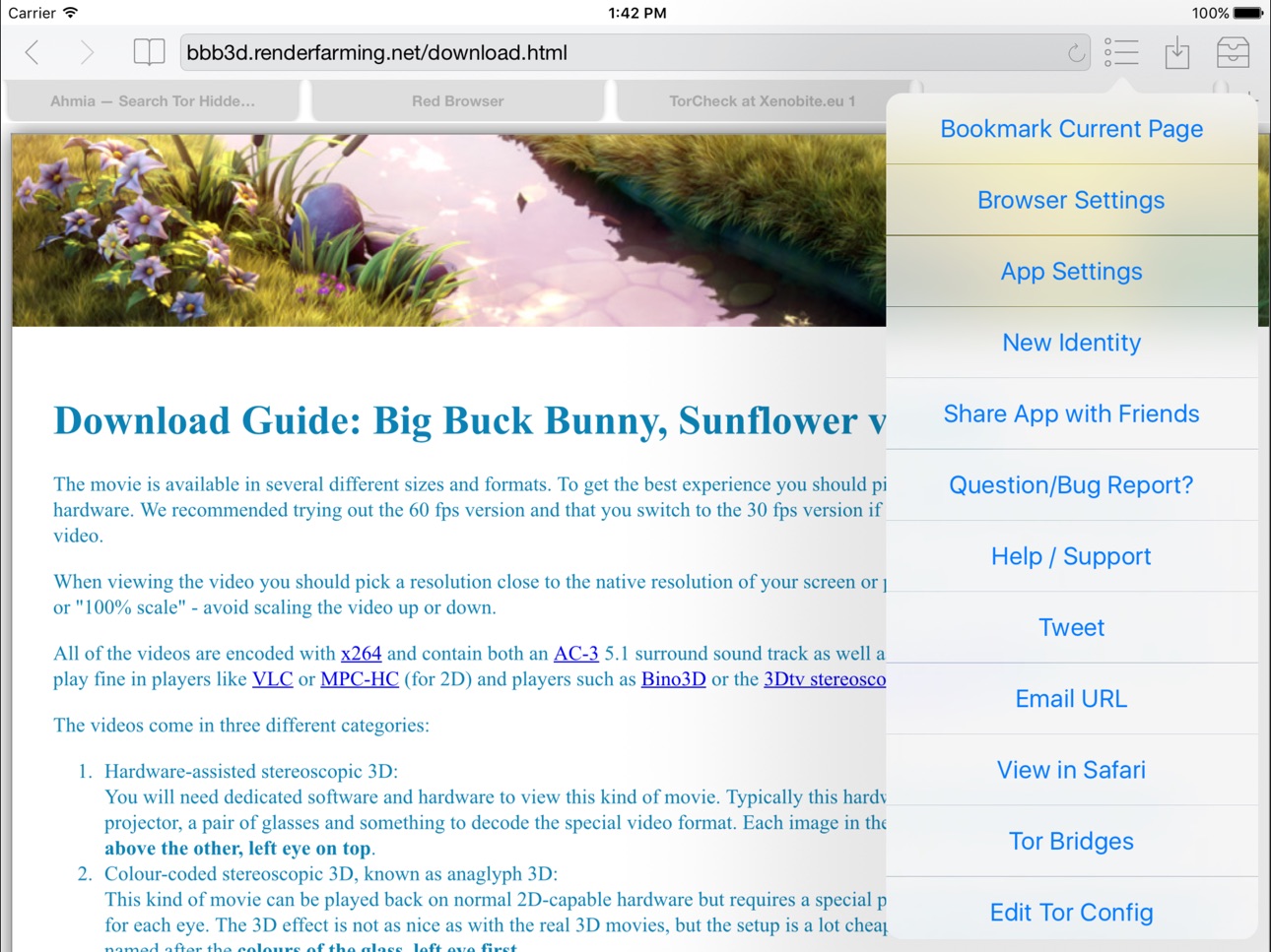 iPad screenshot