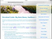 red onion - darknet browser ipad resimleri 3