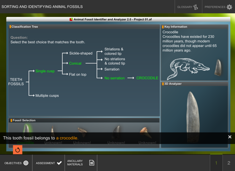 Sorting and Identifying Animal Fossils screenshot 3