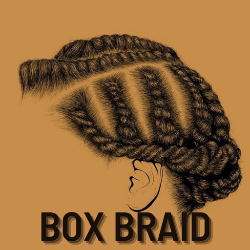 Knotless Box Braids Hairstyles - AppWisp.com