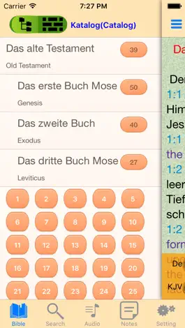 Game screenshot Schlachter English Audio bible apk