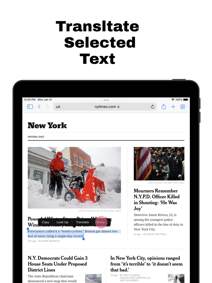 Translator  Safari Extension