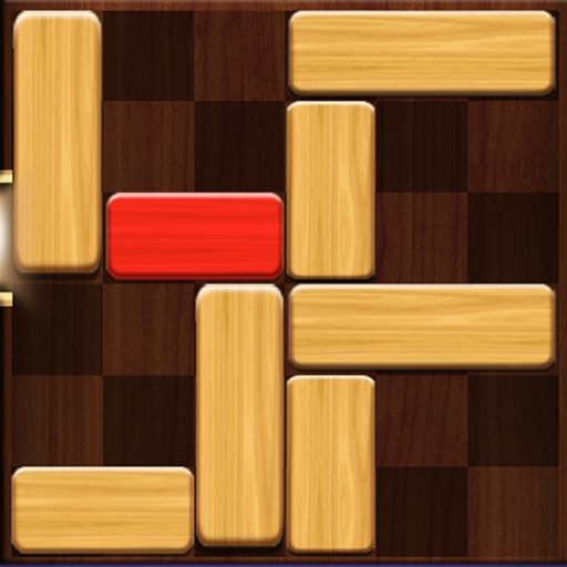 Unblock Puzzle Pro