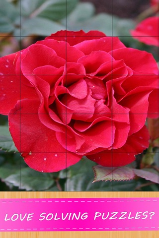 Valentine Flower Jigsaw Puzzle For Adults screenshot 2