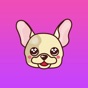 Frenchie Sticker Pack app download