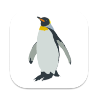 Jungle Code - Coding for kids