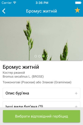 Довідник бур'янів України screenshot 4