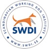 SWDI icon