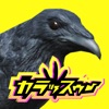 ハトバース｜鳩のメタバース