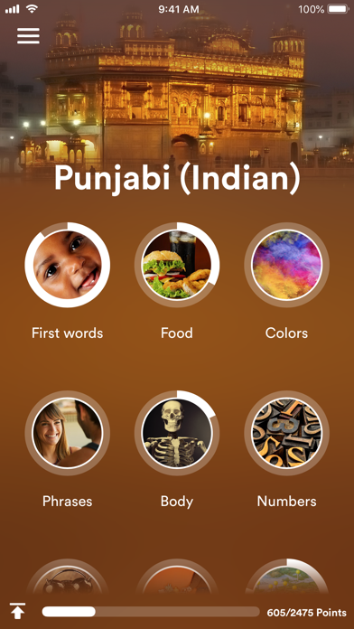Learn Punjabi (Indian) Screenshot