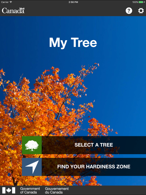 Screenshot #4 pour My Tree