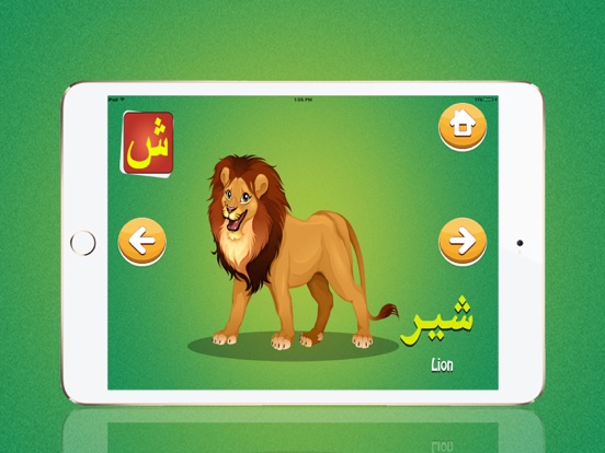 Screenshot #6 pour Learn Urdu Kids