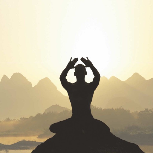 Qigong Workout Challenge Free - Gain longevity icon