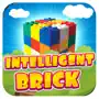 Intelligent Brick