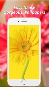 Amazing Flower Wallpapers HD screenshot #2 for iPhone