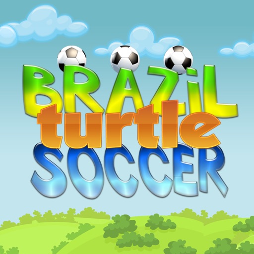 Brazil Turtle Soccer