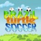 Brazil Turtle Soccer