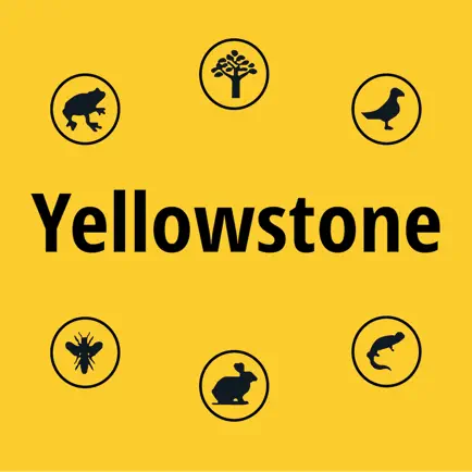 Yellowstone NP Field Guide Cheats