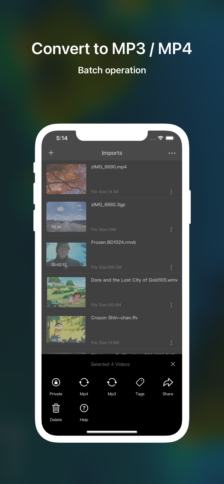 MP4Plus converter PRO screenshot 2