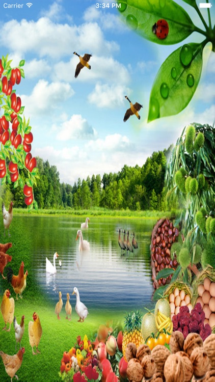 山东有机食品网