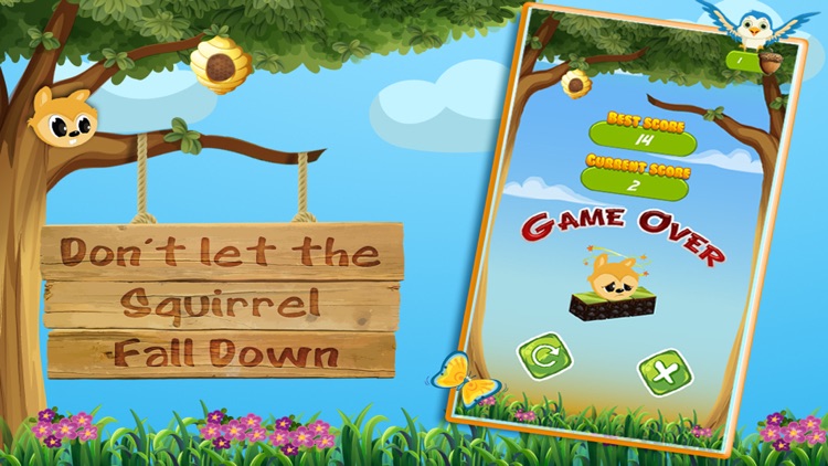 The Squirrel collect nuts & move through elevators