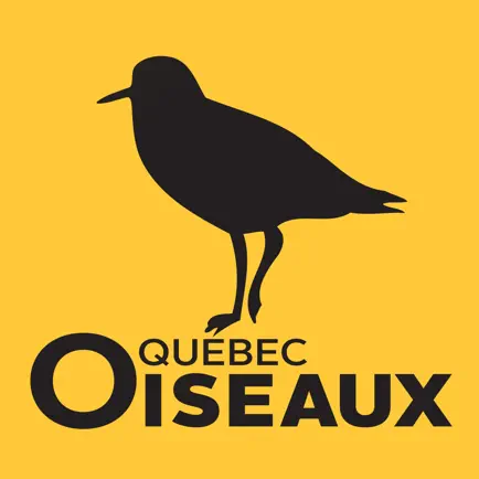 Magazine QuébecOiseaux Cheats