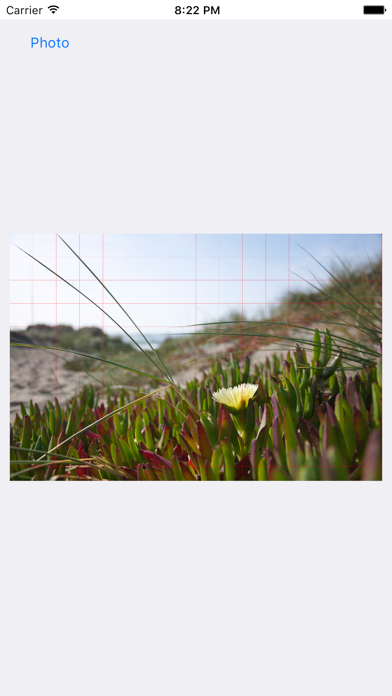 Screenshot #1 pour GridOnPhoto