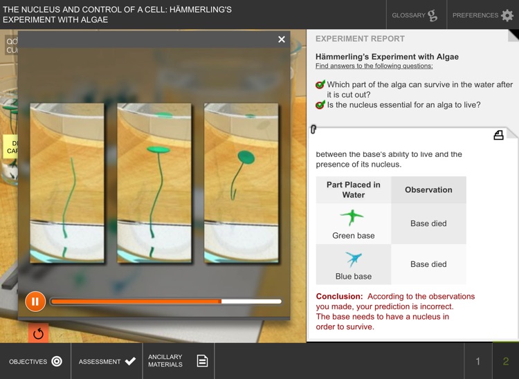 Nucleus and Control of a Cell screenshot-3