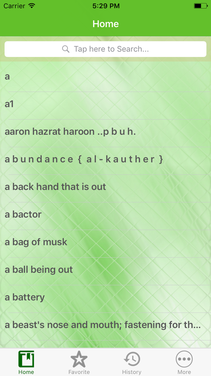 English to Urdu Offline Dictionary App