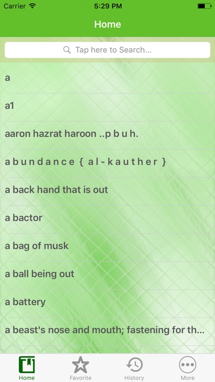 English to Urdu Offline Dictionary App