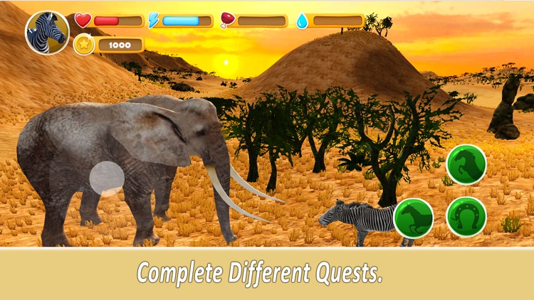 Zebra Family Simulator Full screenshot-3