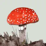 Mushrooms & other Fungi UK App Cancel