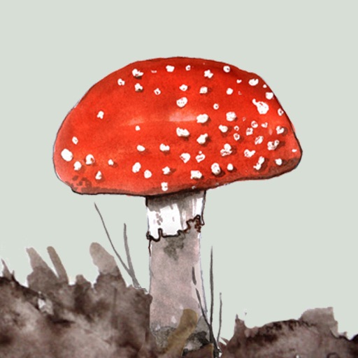 Mushrooms & other Fungi UK icon