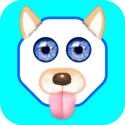 Funny Face - Photo Editor iOS App