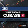 Whats New Guide For Cubase 12 icon