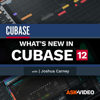 Whats New Guide For Cubase 12 - ASK Video