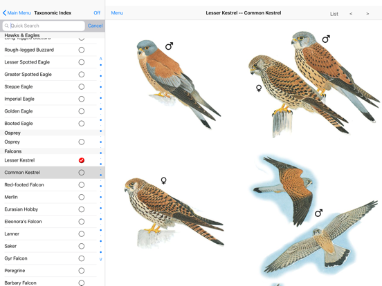 Screenshot #4 for Eastern Europe Birds